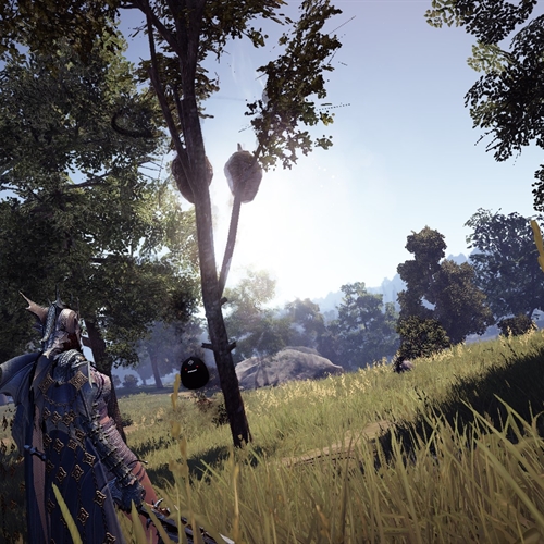 scs_1_25122008125629988_thumb