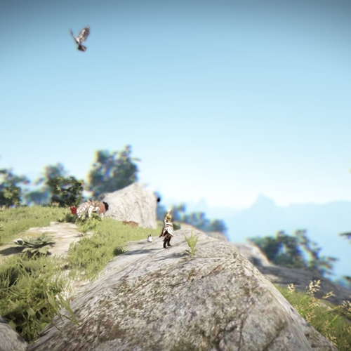 scs_1_2512201048212005_thumb