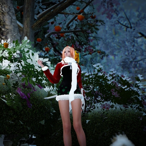 scs_3_25122003570422384_thumb