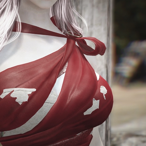scs_4_25041206131869075_thumb