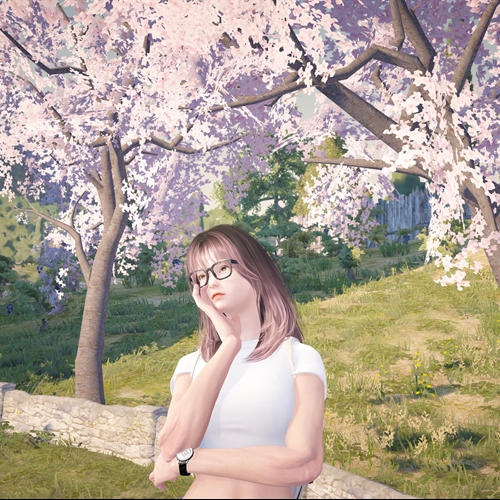 scs_3_25042411064100154_thumb