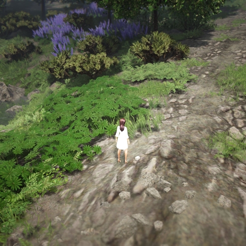 scs_1_25082202311562487_thumb