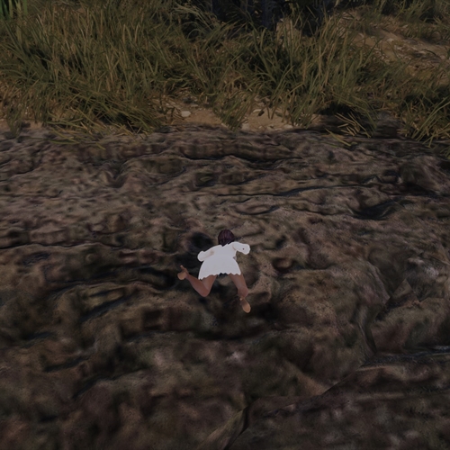 scs_1_25082712485929195_thumb