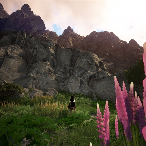 scs_1_25092105033288610_thumb