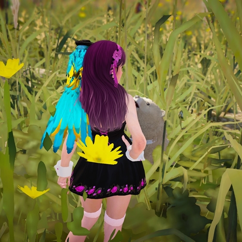 scs_3_25092406314938650_thumb
