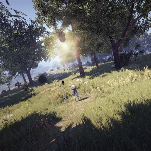 scs_1_26011010211652922_thumb