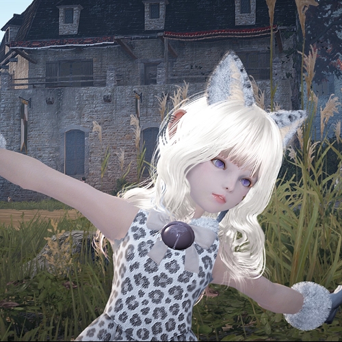 scs_3_26101708260939595_thumb