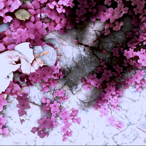 scs_1_26021210291426064_thumb