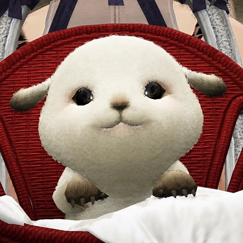 scs_1_2602190732308562_thumb