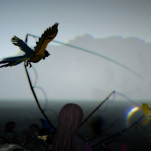 scs_2_26040703000617622_thumb