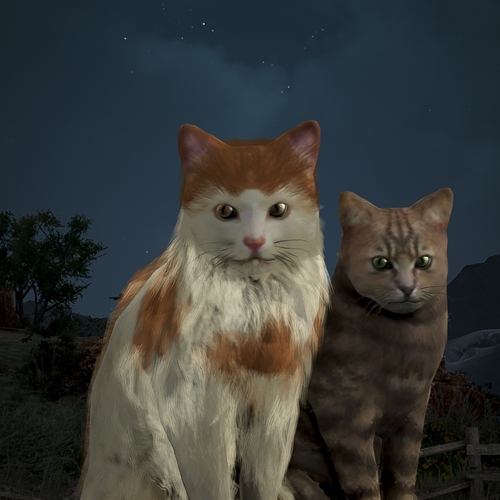 scs_5_26052109380818353_thumb