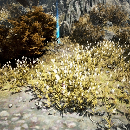 scs_1_26081301534728583_thumb