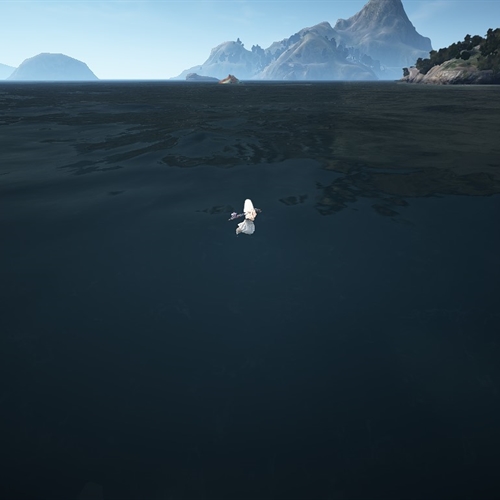 scs_1_26081307193970165_thumb