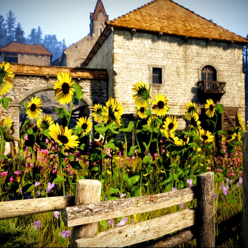 scs_1_26091007040656442_thumb