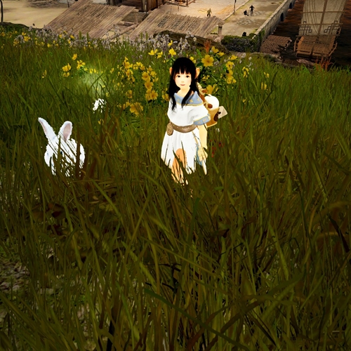scs_1_26091011314170251_thumb