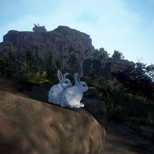 scs_1_26091208222408182_thumb