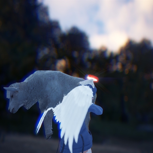 scs_1_2609130731079079_thumb
