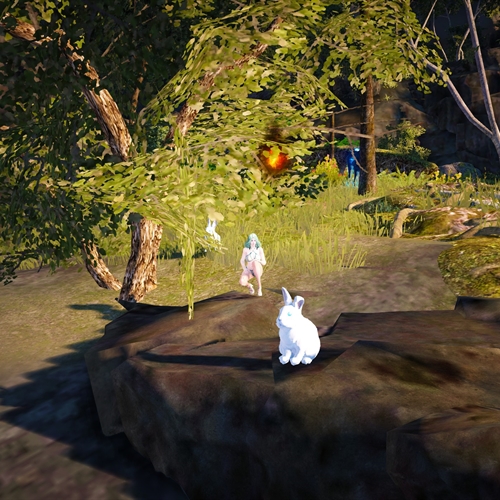scs_1_26091511073130290_thumb