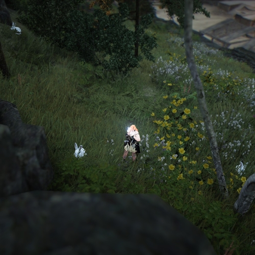 scs_1_26091911313132899_thumb