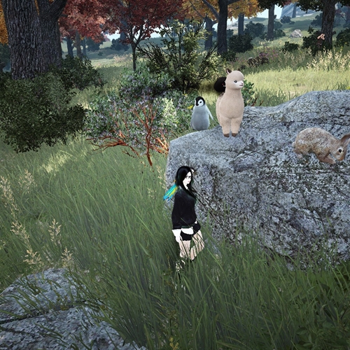 scs_1_26092401183818373_thumb