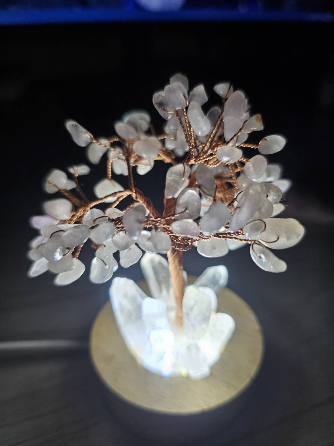 [遊戲截圖/影片] [寶物]卡瑪希伯的祝福(15日) | 黑色沙漠 台灣
