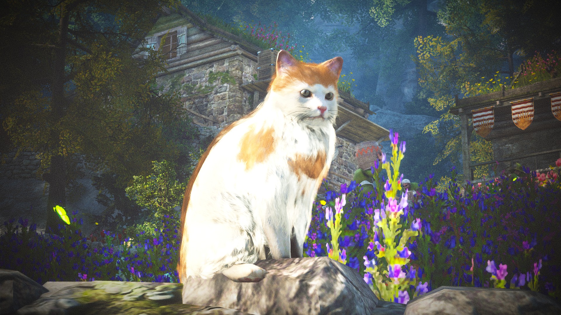 純攝影 貓 作品圖 03