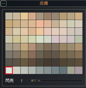 皮膚區塊選項示意