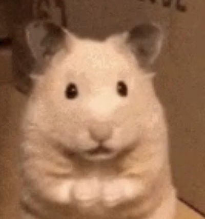 Guiido profile image