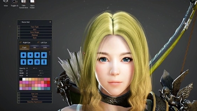 Black Desert Özelleştirme