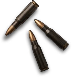 bullets